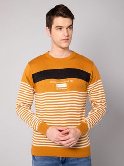 Cantabil - Men Mustard Sweater