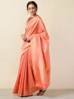 Fabindia - Cotton Silk Cutwork Banarasi Patti Sari