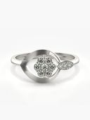 Silver color option