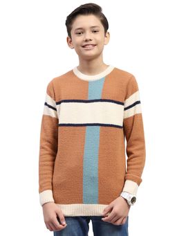 Monte Carlo - Boys Brown Blended Full Sleeves Sweater
