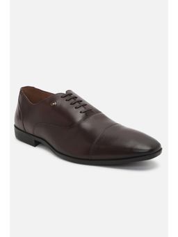 Louis Philippe - Men Brown Leather Lace Up Oxfords