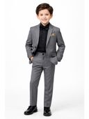 Grey color option, Currently selected