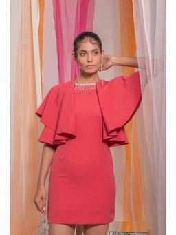 Label Iris - Pink Ruffle Embellished Dress