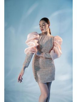 Label Iris - Champagne Sequin Organza Dress