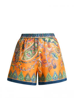 Etro - Multicolour Printed Shorts