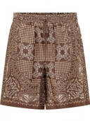 Brown color option, Currently selected