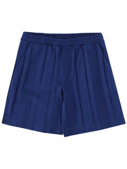 Boss - Blue Stripes Shorts