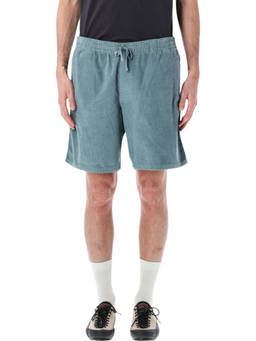 Patagonia - Blue Sage Textured Shorts