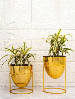 DecorTwist - Classy Tabletop Planter With Stand Set of 2