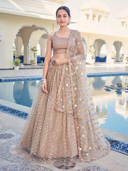 Pink Ethnic - Beige Net Semi-Stitched Lehenga & Unstitched Blouse with Dupatta (Set of 3)