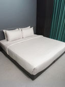White color option, Currently selected
