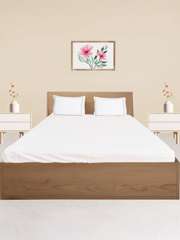Oyvu - White 700Tc Bedsheet with 2 Pillow Covers
