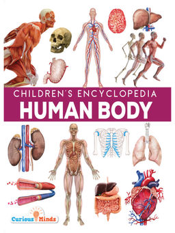 Pegasus - Human Body Children's Encyclopaedia Book