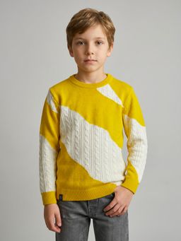 Monte Carlo - Boys Regular Fit Full Sleeve Crew Neck Self Designed Sweater