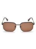 Brown color option, Currently selected