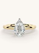 Gold color option, Currently selected
