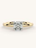 Gold color option
