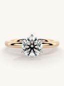 Rose Gold color option