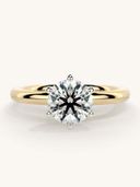 Gold color option, Currently selected