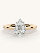 Rose Gold color option, Currently selected