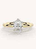 Gold color option