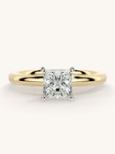 Gold color option