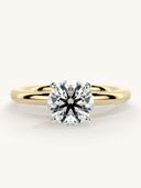 Gold color option, Currently selected