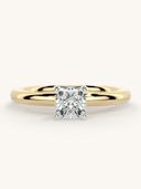 Gold color option