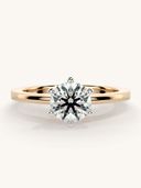 Rose Gold color option