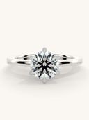 White Gold color option