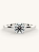 White Gold color option
