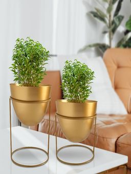 Ecofynd - Alle Gold Metal Plant Pot With Stand (Set Of 2)