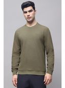 Olive color option, Currently selected