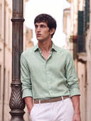 Green color option, Currently selected
