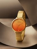 Orange color option, Currently selected