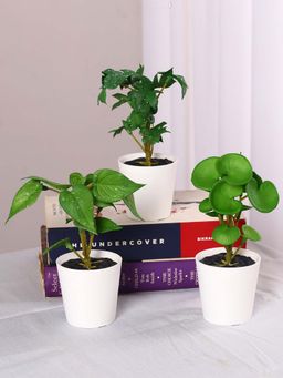 ARICK DECOR - Artificial Tabletops Potted Succulent Plants For Home Decor (Pack of 3)