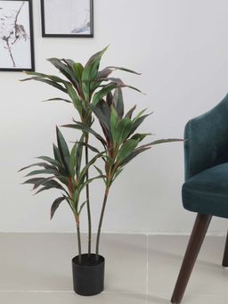 ARICK DECOR - Artificial Dracaena Plants For Indoor & Outdoor with Pot (120 Cm Tall, Multicolor)