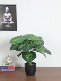 ARICK DECOR - Artificial Dieffenbachia Plants with Basic Black Pot Green Leaves Natural Looking Plant
