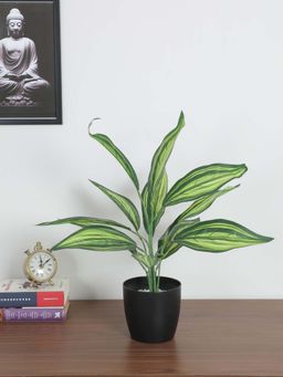 ARICK DECOR - Artificial Dracaena Plants with Black Pot (50 Cm Tall, Dark-Green)