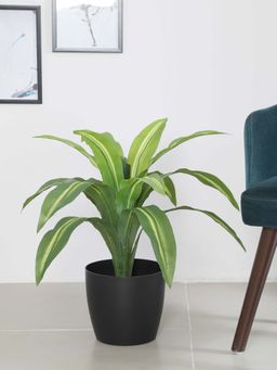 ARICK DECOR - Artificial Dracaena Plants For with Basic Black Pot