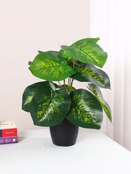 ARICK DECOR - Artificial Miniature Pvc Silk Floor Plant with Big Leaves (12 Leaves, 55 Cm Tall)