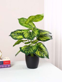 ARICK DECOR - Artificial Miniature Pvc Silk Floor Plant with Big Leaves (12 Leaves, 55 Cm Tall)