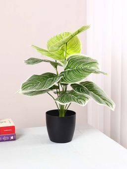 ARICK DECOR - Artificial Miniature Pvc Silk Floor Plant with Big Leaves (12 Leaves, 55 Cm Tall)