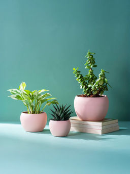 Nestroots - Pink Contemporary Metal Vases (Pack of 3)