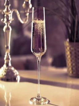 Angie Homes - Radial Colored Stylish Wine Glass (Set of 2)