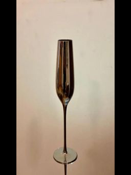 Angie Homes - Luxury Royal Silver Champagne Glass (Set of 2)