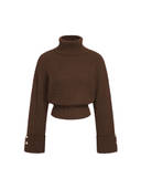 Brown color option, Currently selected