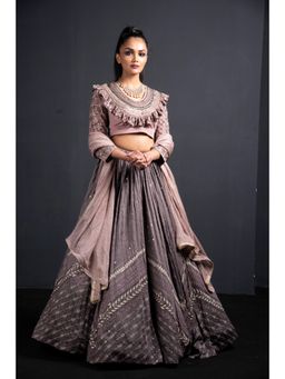 Neha Tarun - Grey Heavy Embroidered Blouse with Lehenga and Dupatta (Set of 3)