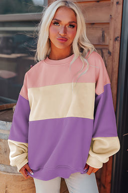 PARTIQ - Multi-Color Meadow Colorblock Drop Shoulder Sweatshirt