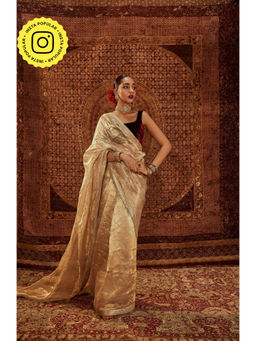 Roze - Zaina Embroidered Saree